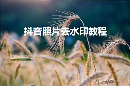 威海咨询费发票 抖音照片去水印教程